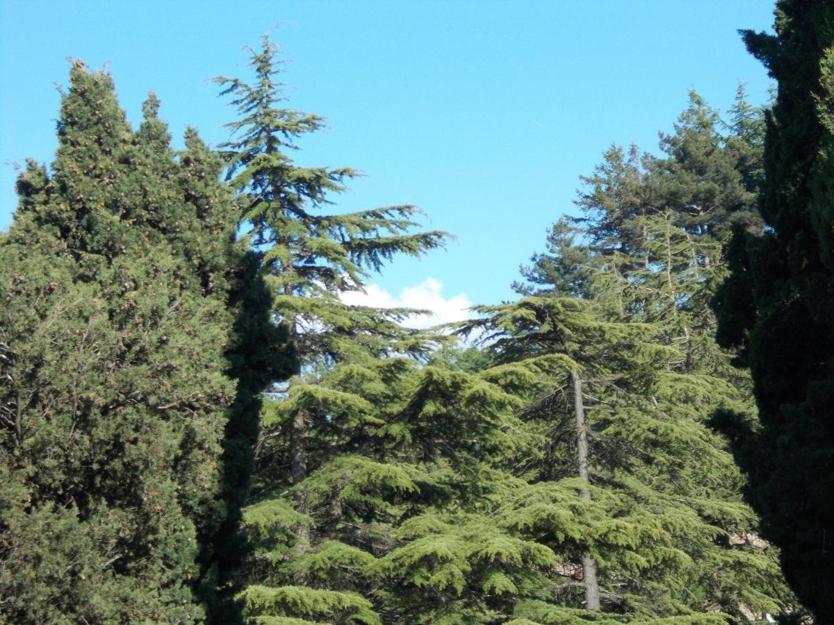 La Vecchia Locanda Castelnuovo di Val di Cecina Exteriör bild
