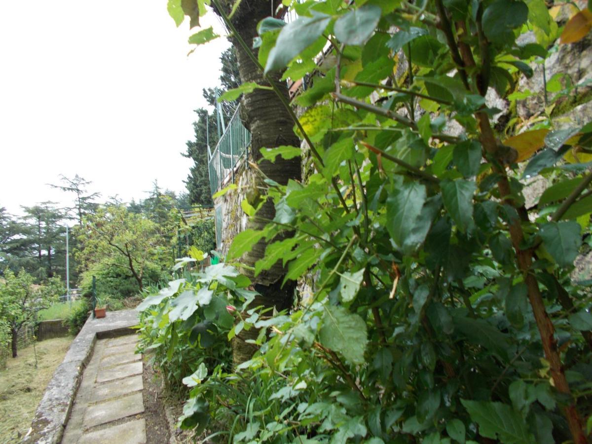 La Vecchia Locanda Castelnuovo di Val di Cecina Exteriör bild